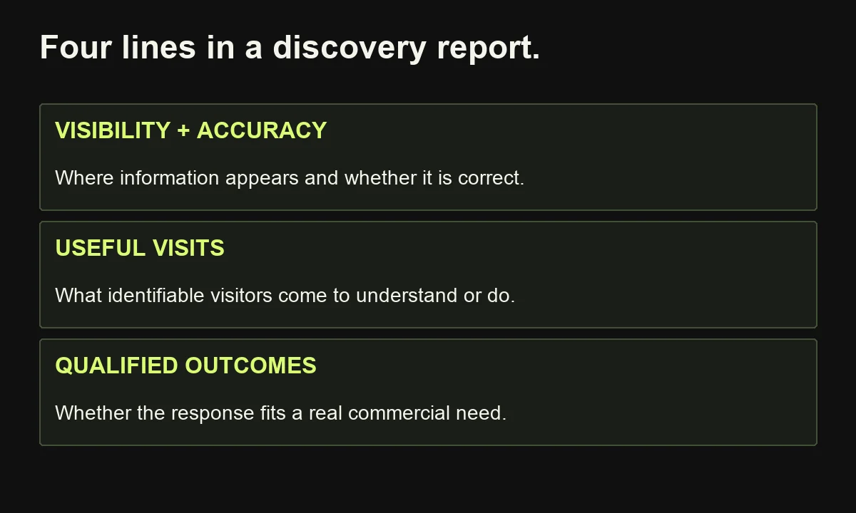 Discovery reporting separates visibility, factual accuracy, useful visits and qualified business outcomes.